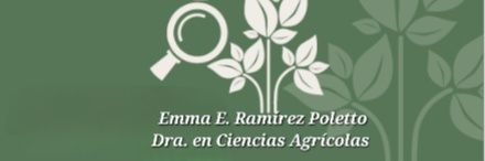 lamoro2005's profile banner image