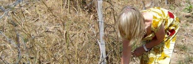 andree_berger's profile banner image