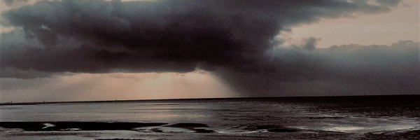 lawt_d Profile Banner