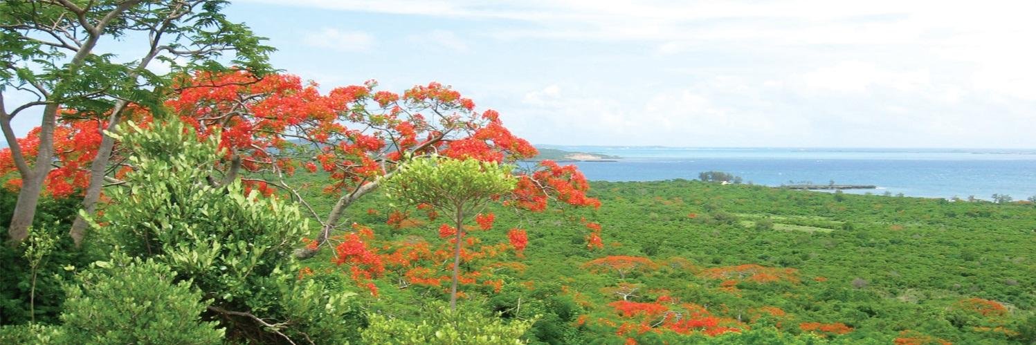 MoBot Research Dept. banner