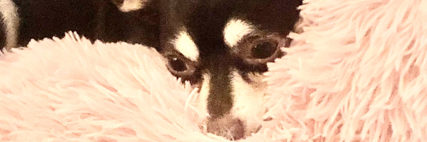 LorrainePtk's profile banner image