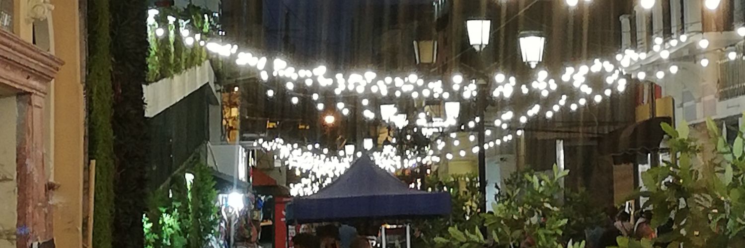 alanespinal's profile banner image