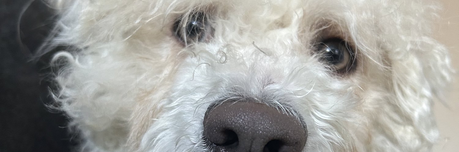 lightssssx's profile banner image