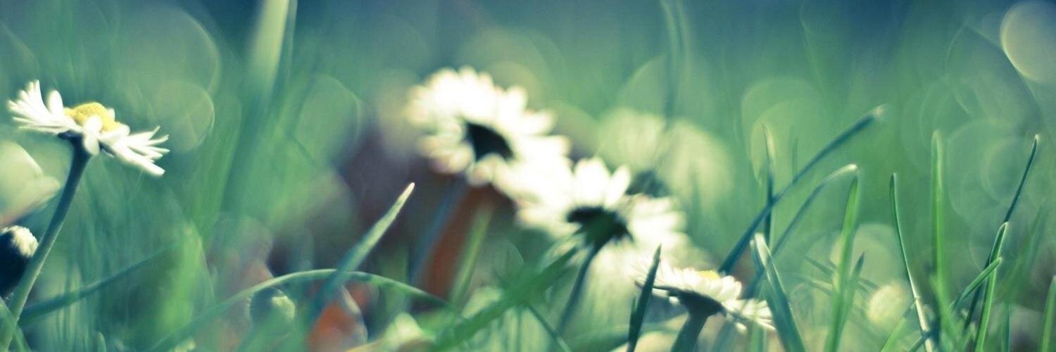 ZzevCom's profile banner image