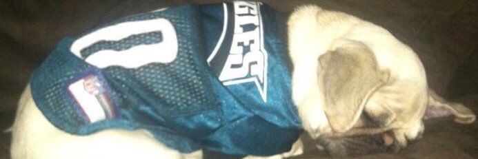 angel_gillette's profile banner image