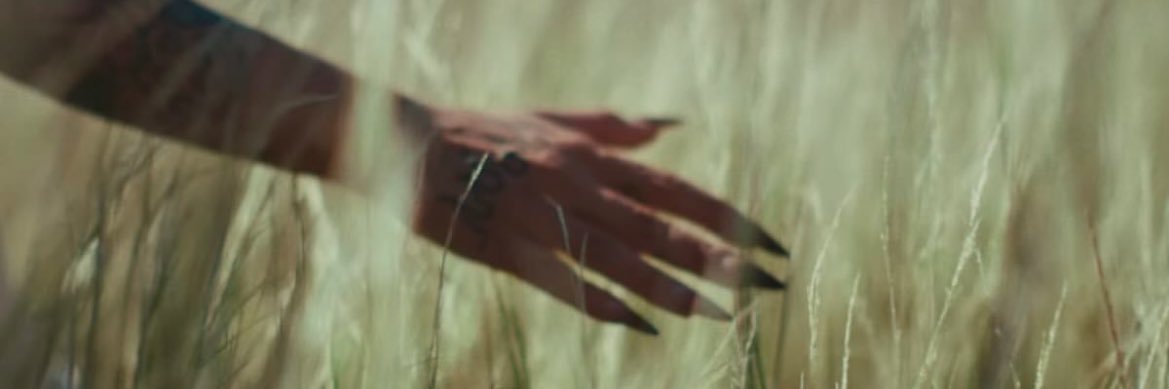 reginagaxiola's profile banner image