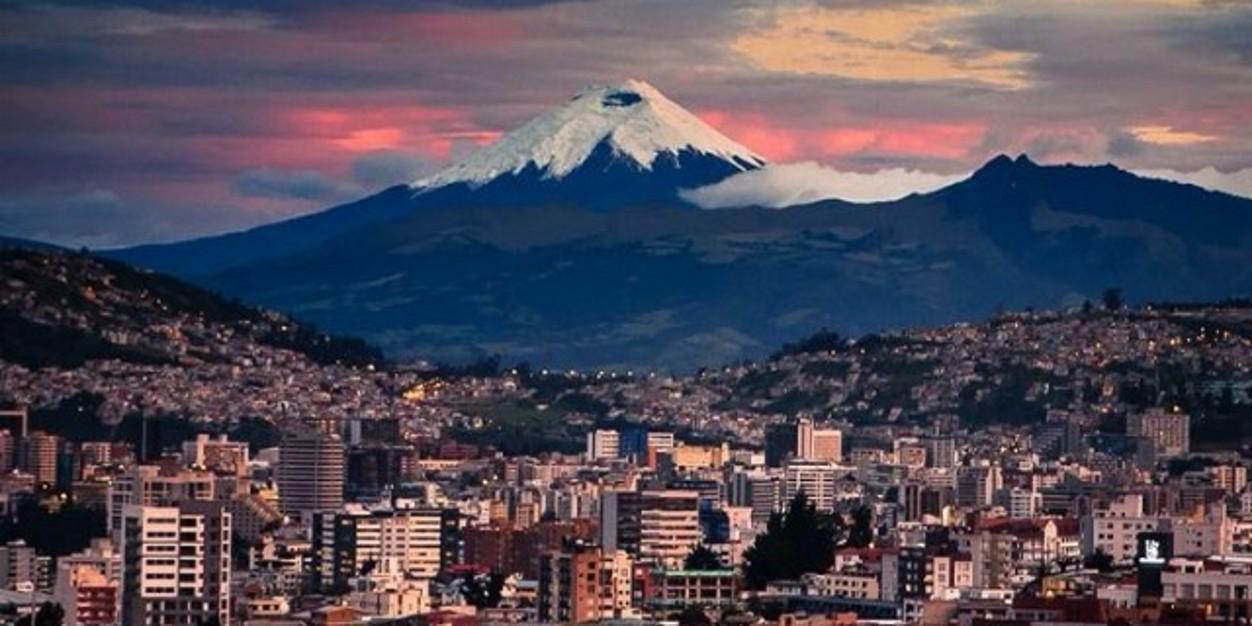 Vascular_Quito's profile banner image