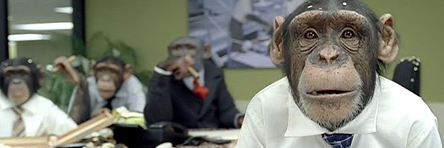 Benkarber's profile banner image