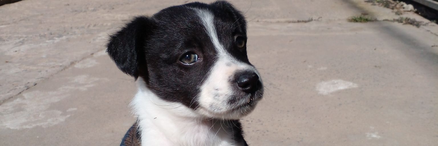 tamyaranda's profile banner image