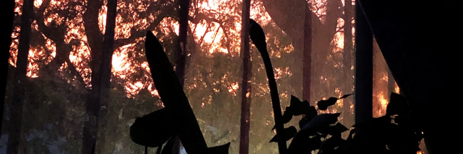 An_liaa's profile banner image