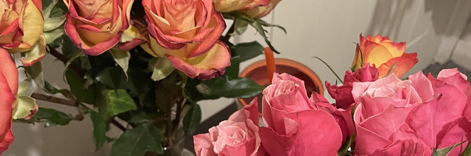 prinspens's profile banner image