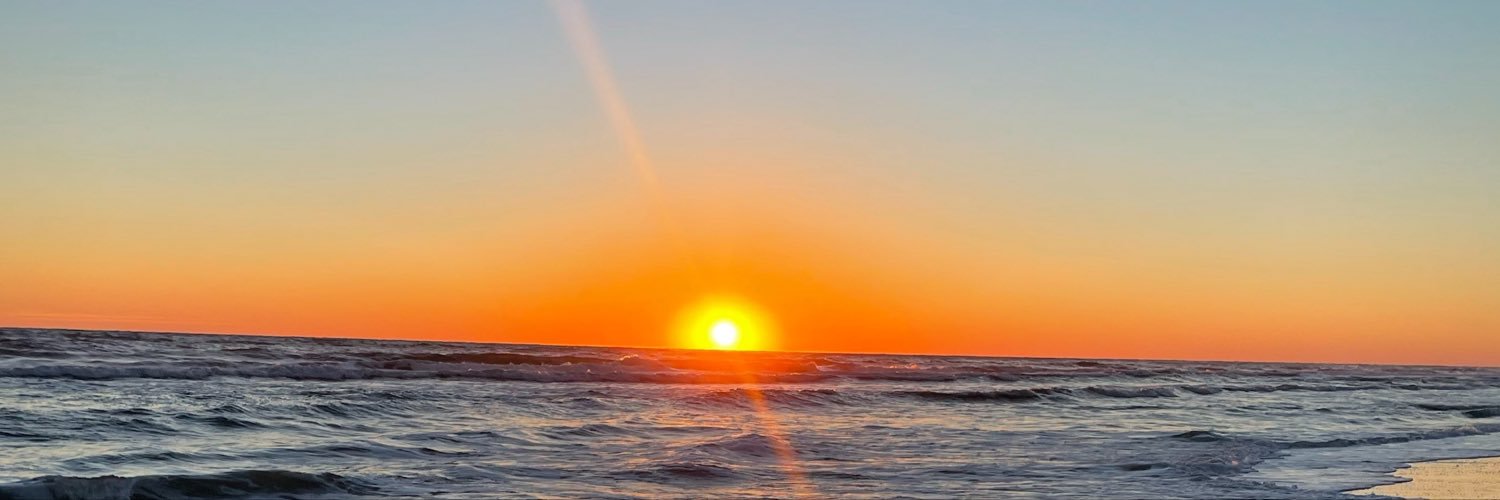 allisunray's profile banner image