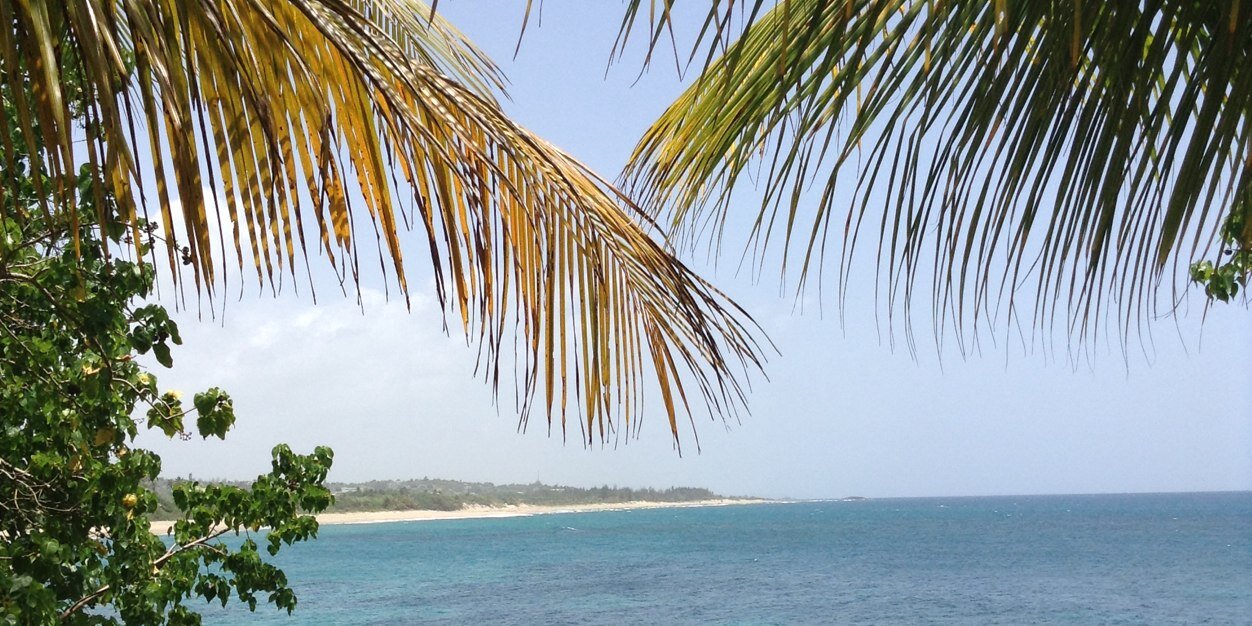 赤木りえ Rie Akagi banner