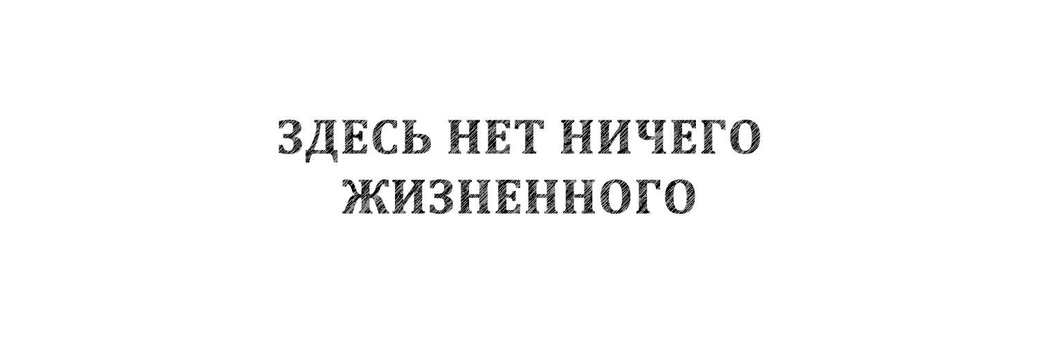 ЛевТигр banner