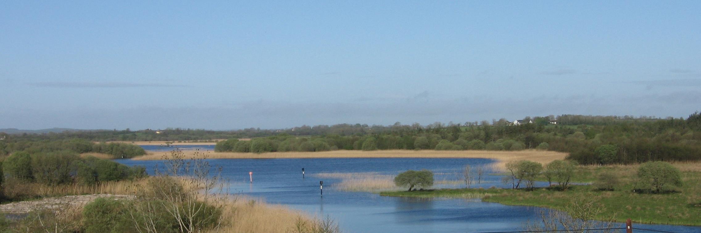 Niamh M.Brennan, MRIA banner