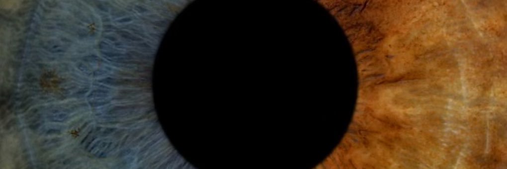 aydabyg's profile banner image