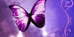 Lisa Callaway banner