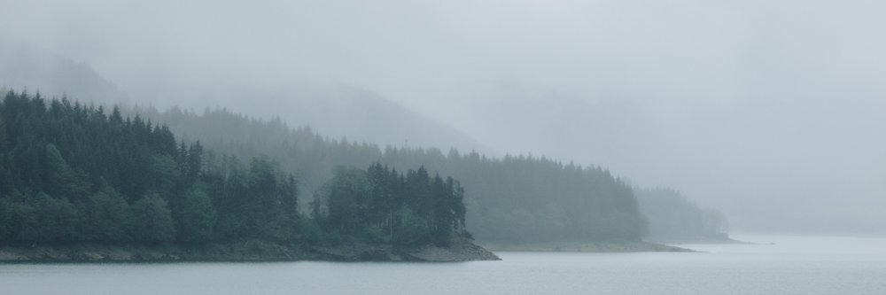 ryenotbread's profile banner image