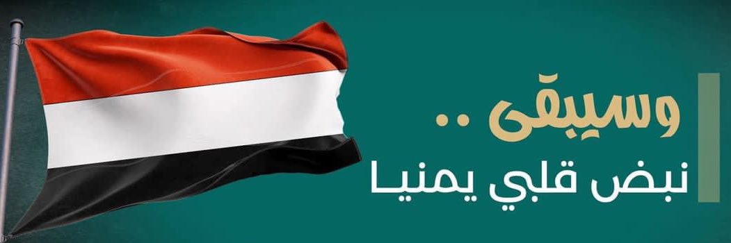 AAli2020's profile banner image