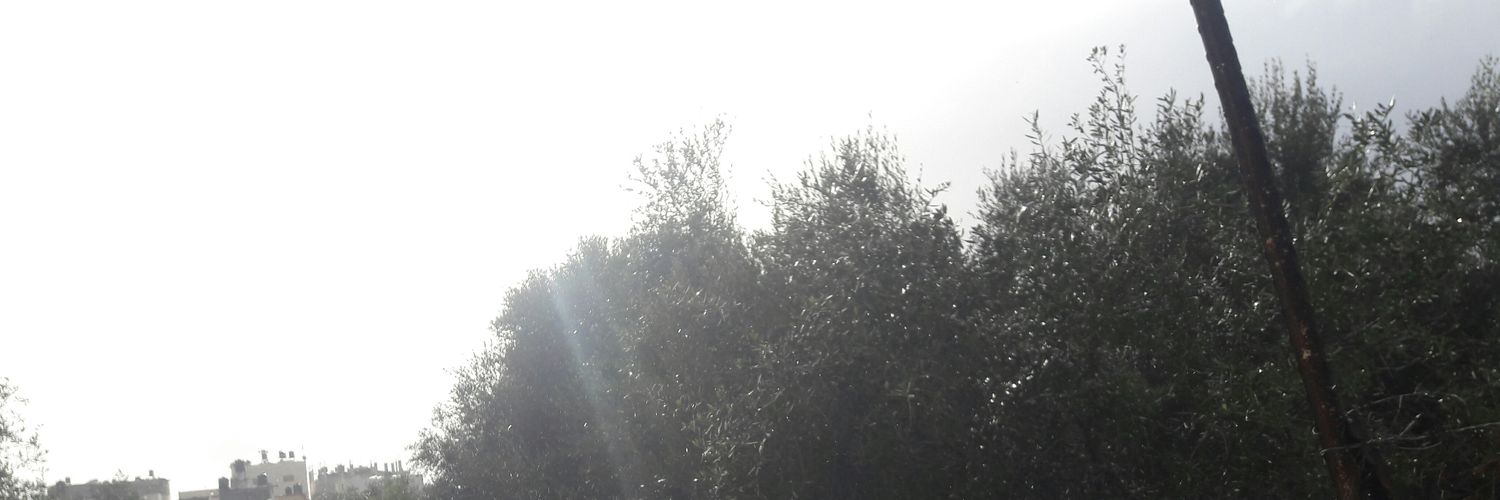 jompalt2008's profile banner image