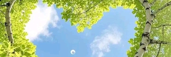 Nic_Mlu's profile banner image