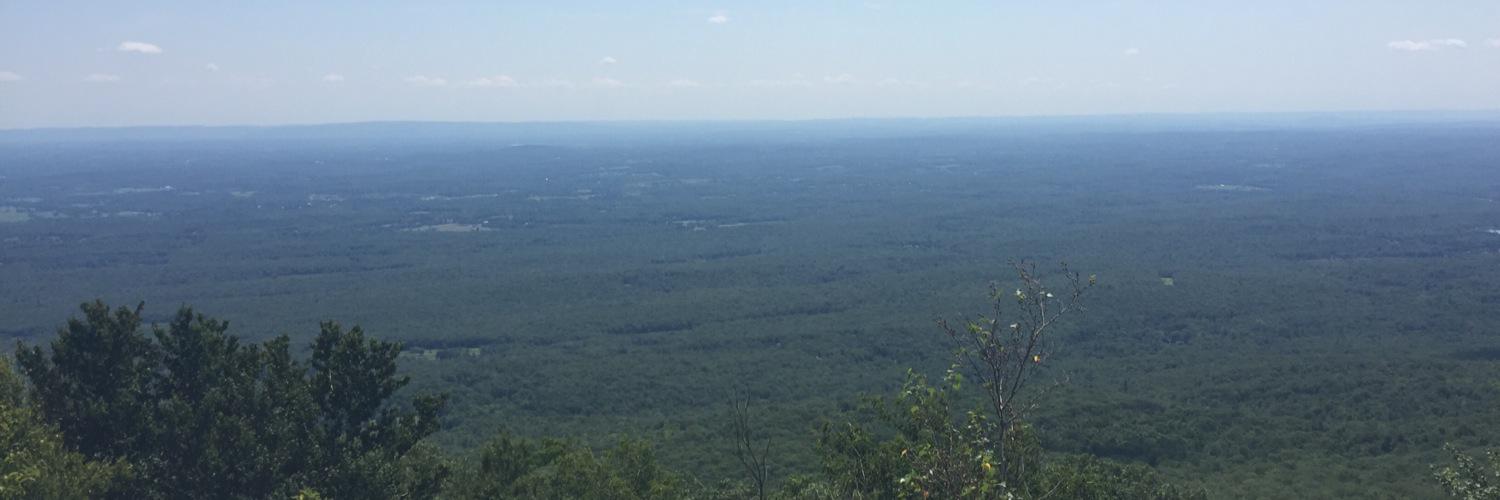 Mallory Creveling banner