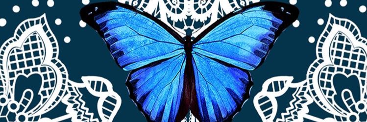 natdantasss's profile banner image