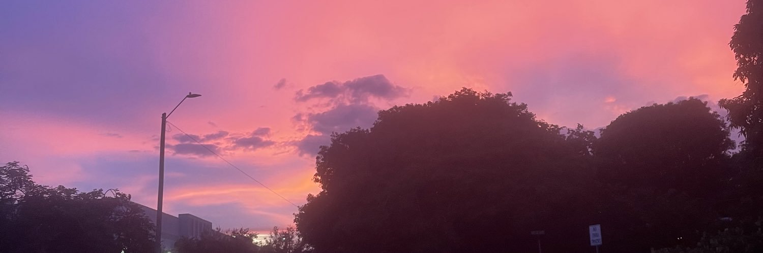 toledolucca's profile banner image
