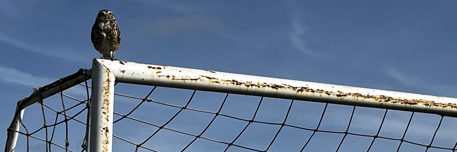 Mauricio Rodríguez's banner