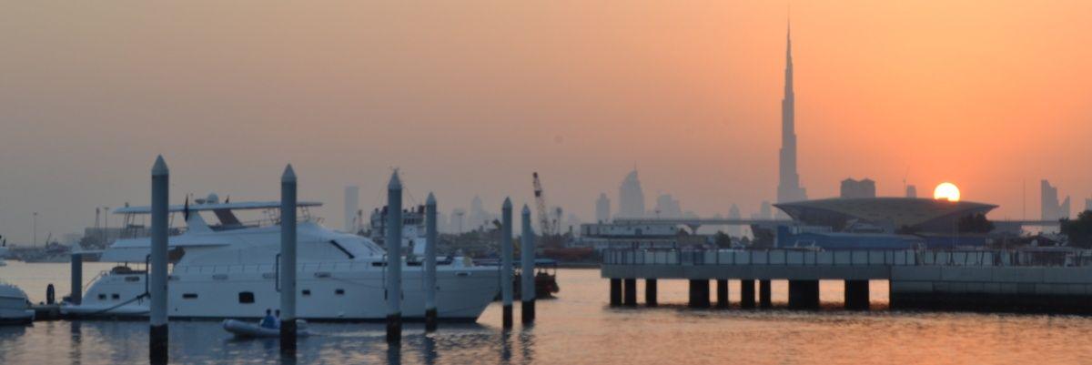 Samar_Elnajjar's profile banner image