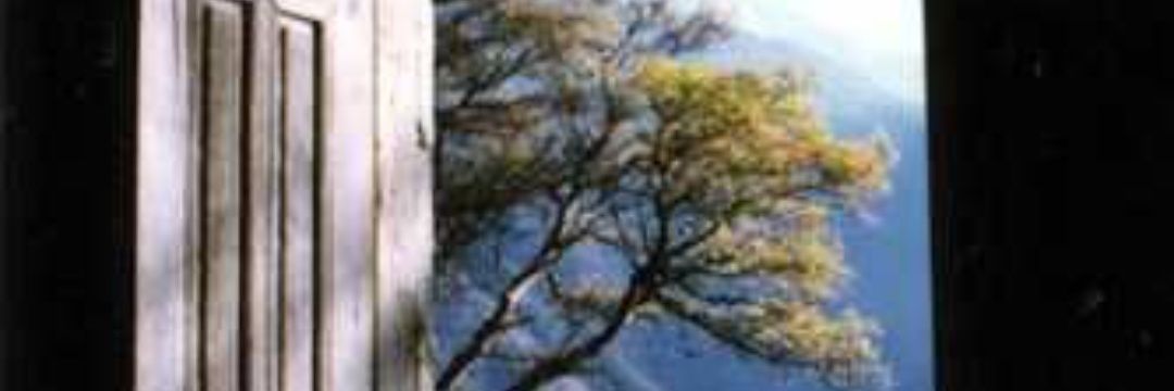 malak_attallah's profile banner image