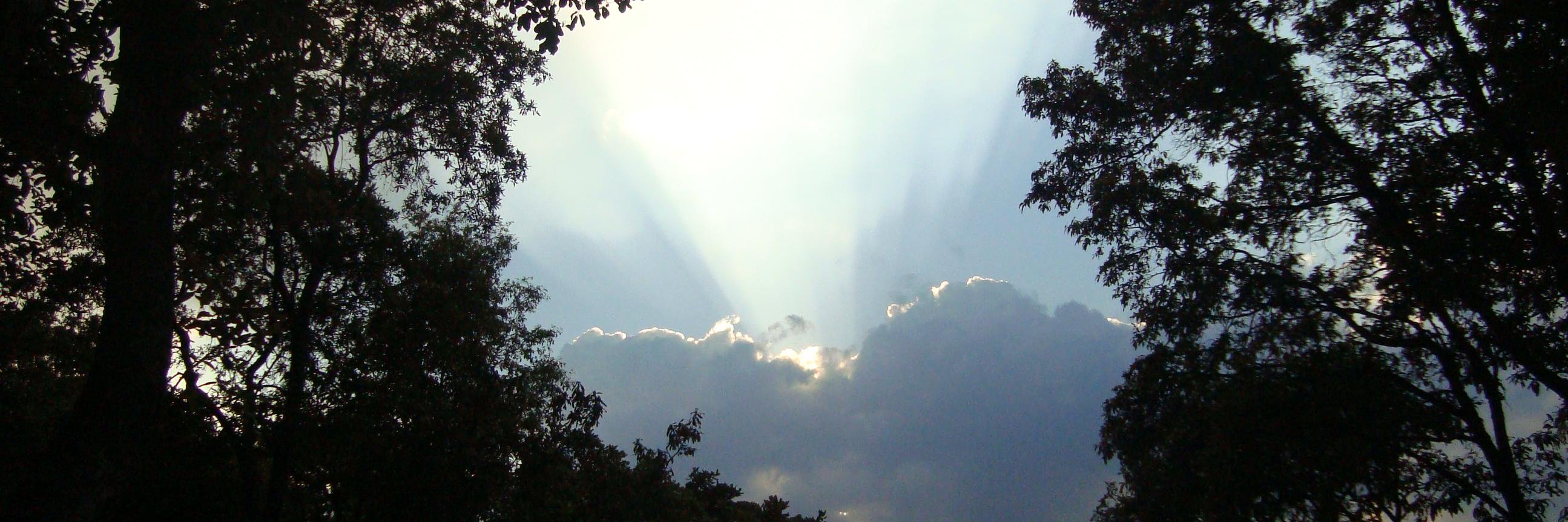 Octavio Oviedo banner