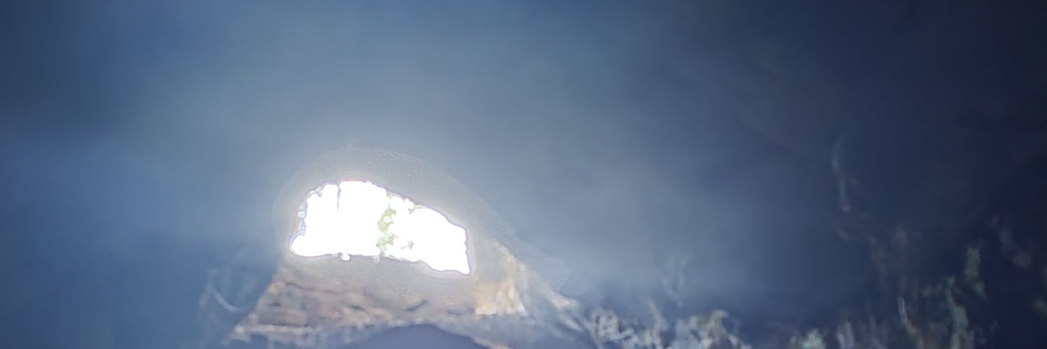 danielon_dan's profile banner image