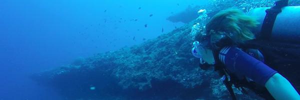 elinthom Profile Banner