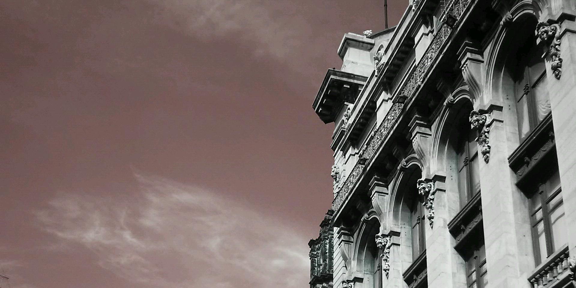BelFloresP's profile banner image
