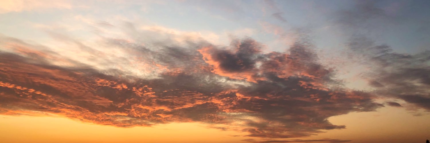 StephanySIZORN's profile banner image