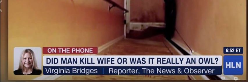 Virginia Bridges banner