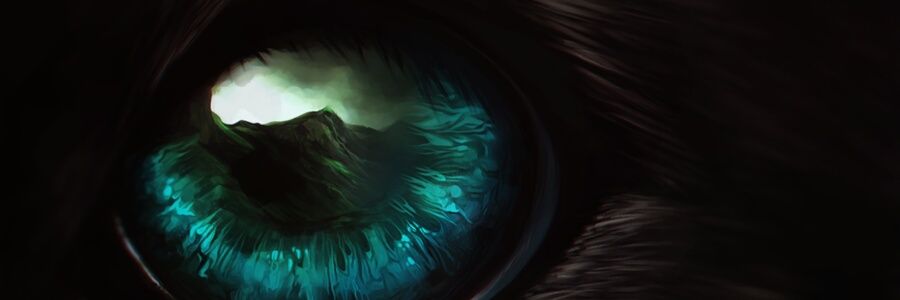 Zaedlen's profile banner image