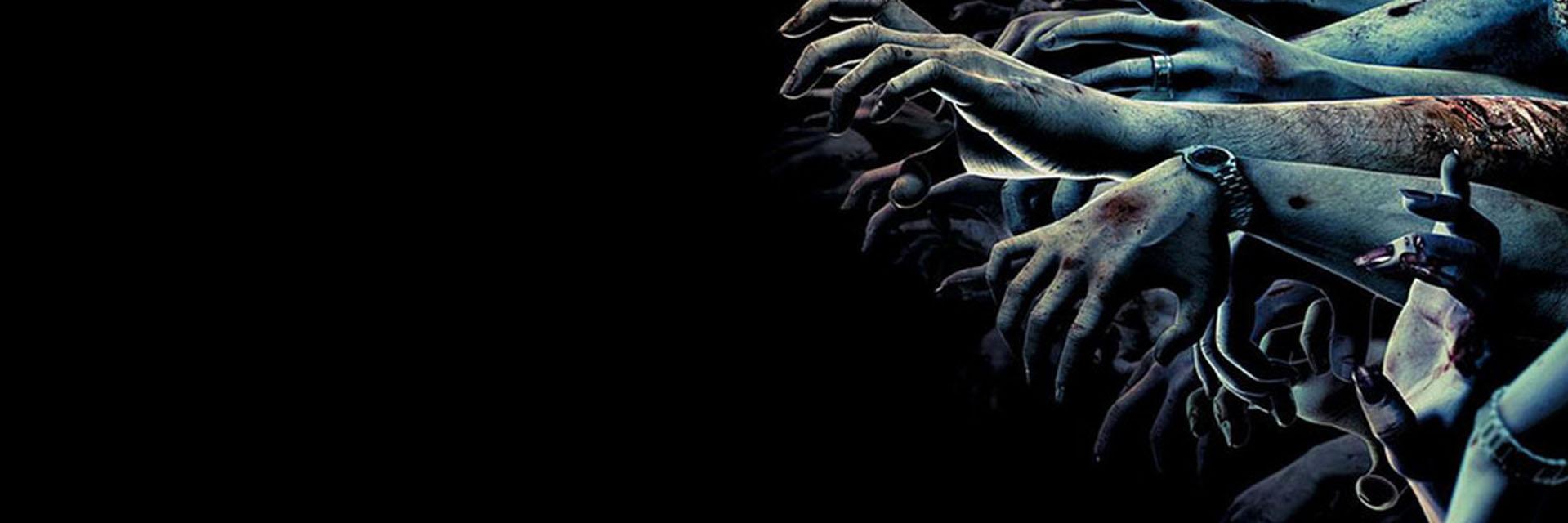 Peta-Anne Zimmerman banner