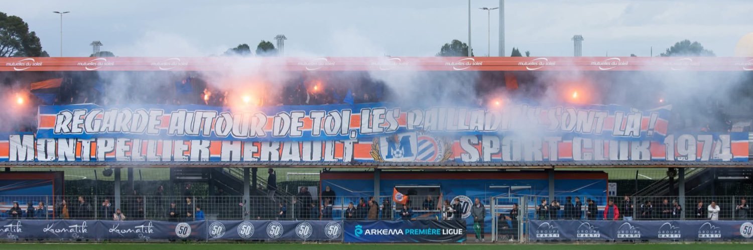 Ben Arfa banner