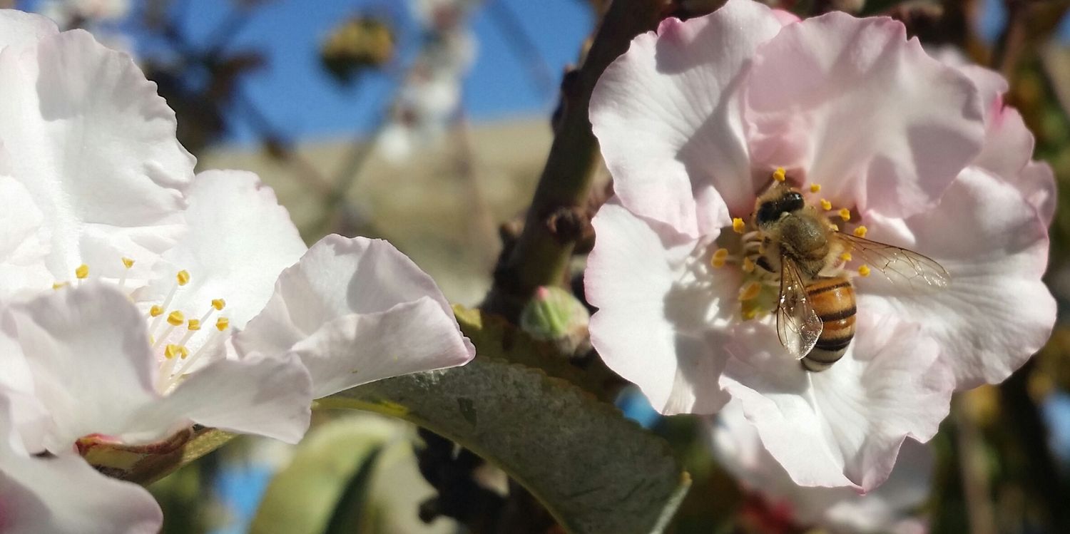 حسن الزهراني banner