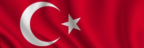 🇹🇷ㄈΛнɪƬ banner