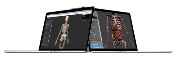 VidaSystems Profile Banner