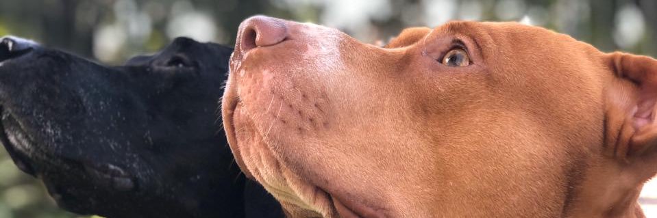 Soy Nancy⭐️⭐️⭐️ banner