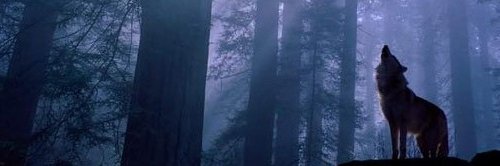 Ysathys's profile banner image