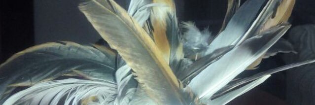 Rebeca Bruned Pons banner