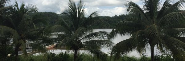 noreenmdege Profile Banner