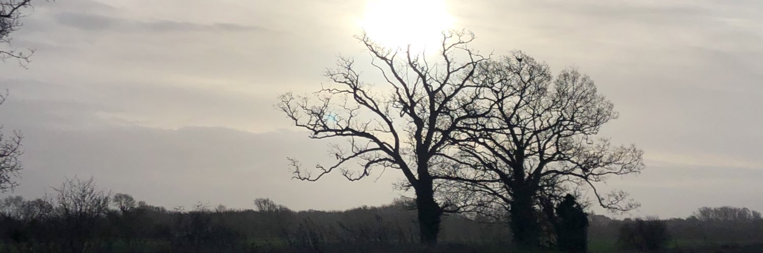 Dr Clare Allen banner