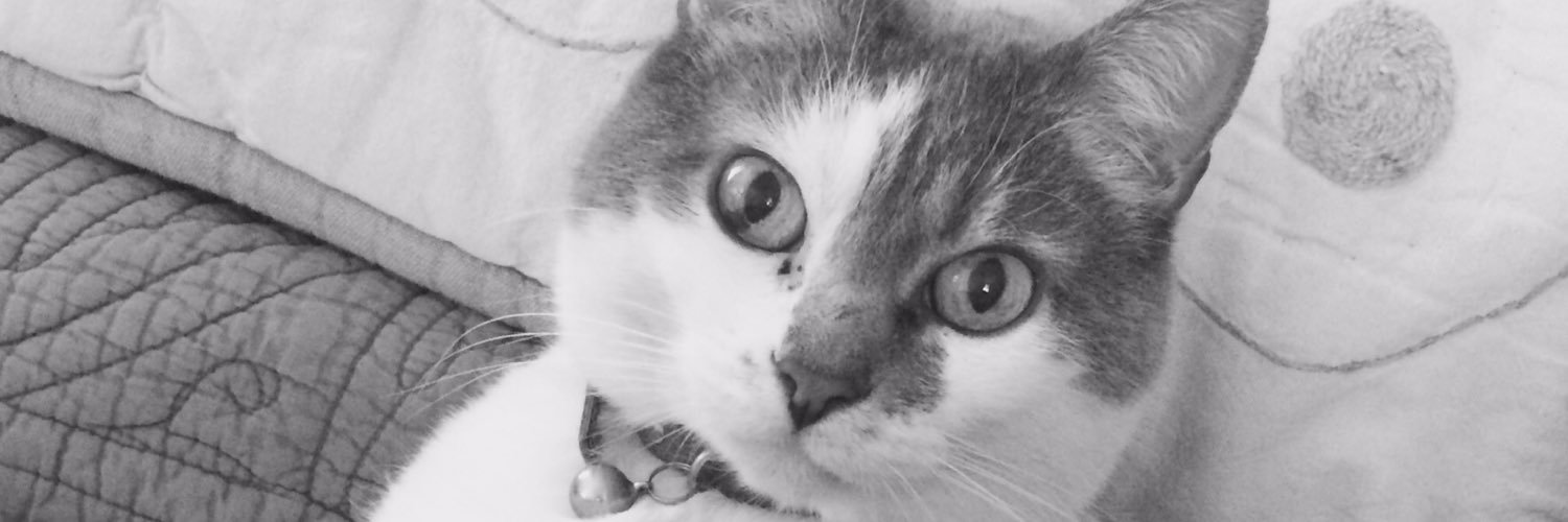 chatalors14's profile banner image