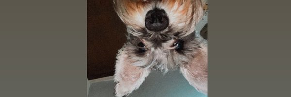 arobareno Profile Banner